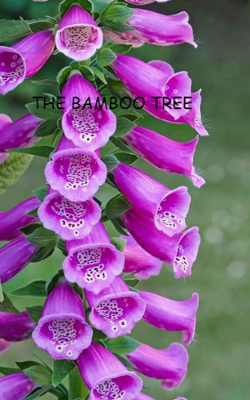 The Bamboo Tree