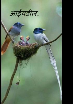 आईवडिल..