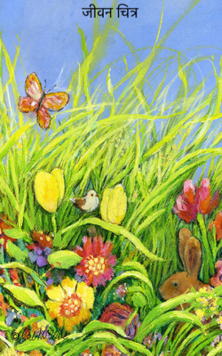 जीवन चित्र