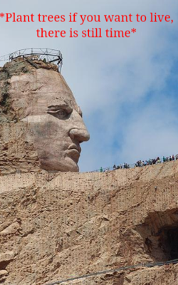 Plant trees if you want to live, there is still time