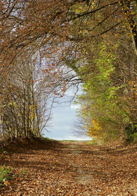 দেনাপাওনা