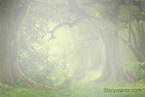 Successful people motivate each other.