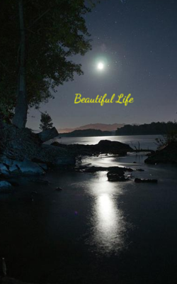 Beautiful Life