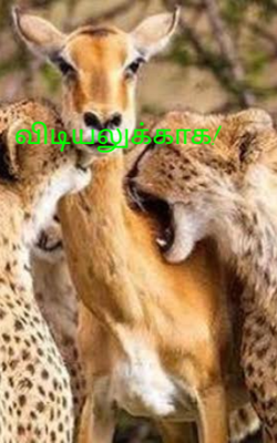 விடியலுக்காக