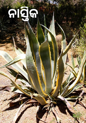 ନାସ୍ତିକ