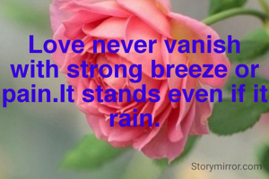 Love never vanish with strong breeze or pain.It stands even if it rain.