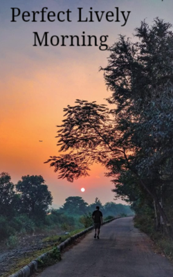 Perfect Lively Morning