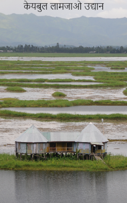 भारत में स्थित दुनिया के एकमात्र तैरते हुए उद्यान का रहस्य