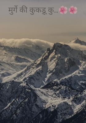 मुर्गे की कुकड़ू कु..
