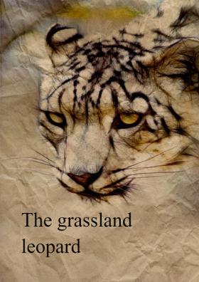 The Grassland Leopard