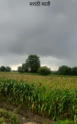 मराठी माती