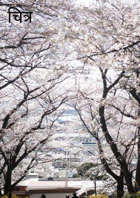 चित्र बनविले...