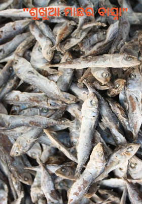 "ଶୁଖୁଆ ମାଛର ବାସ୍ନା"