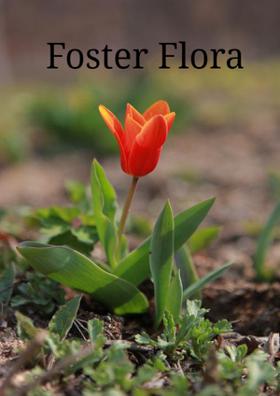 Foster Flora