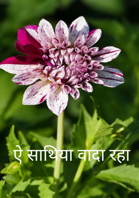 ऐ साथिया वादा रहा