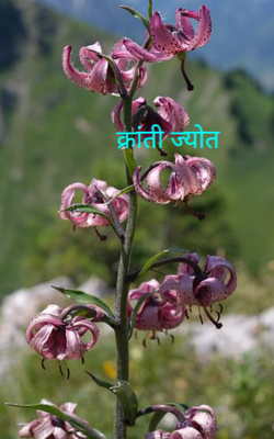 क्रांती ज्योत