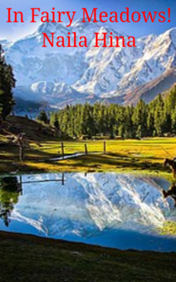 In Fairy Meadows!