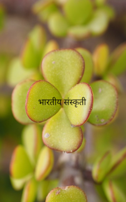 भारतीय संस्कृती