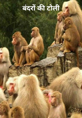 बंदरों की टोली