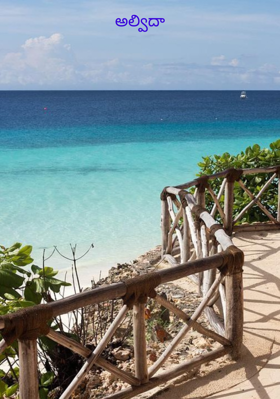 అల్విదా