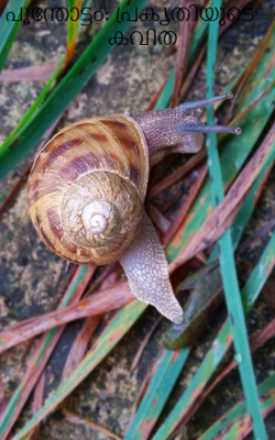 പൂന്തോട്ടം: പ്രകൃതിയുടെ കവിത