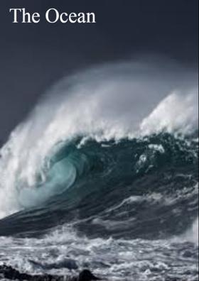 The Ocean