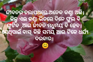 ଜୀବନର ଚଲାପଥରେ ଅନେକ କଣ୍ଟା ଅଛି।
କିନ୍ତୁ ଏଇ କଣ୍ଟା ଭିତରେ ଦିନେ ଫୁଲ ବି ଫୁଟିବ ,ଆଉ ଜୀବନ ମଧୁମୟ ବି ହେବ। 
ସେଥିପାଇଁ ବାସ୍ କିଛି ସମୟ ଆଉ ଟିକେ ଧର୍ଯ୍ୟ ଦରକାର। 
😊
