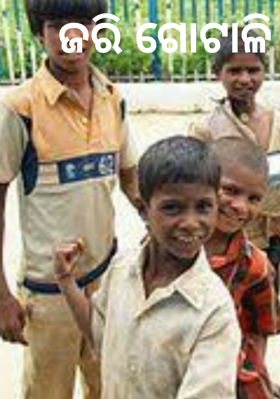 ଜରି ଗୋଟାଳି