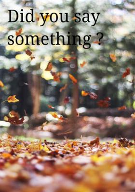 Did You Say Something?