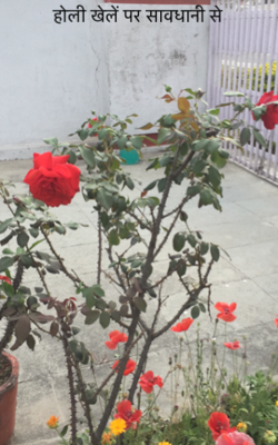 होली खेलें पर सावधानी से