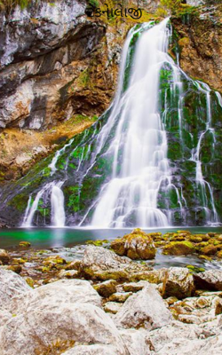 ટેકનોલોજી