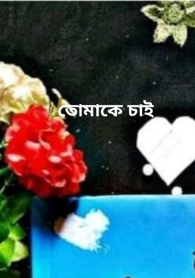 তোমাকে চাই