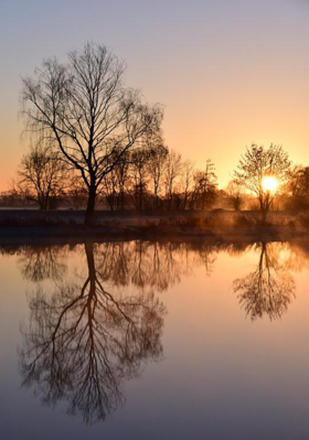 കുഞ്ഞും കുരുവിയും