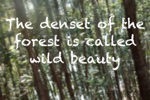The denset of the forest is called wild beauty