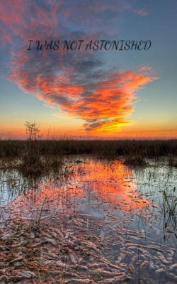 I Was Not Astonished