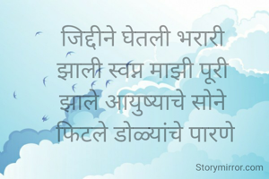 जिद्दीने घेतली भरारी 
झाली स्वप्न माझी पूरी 
झाले आयुष्याचे सोने 
फिटले डोळ्यांचे पारणे