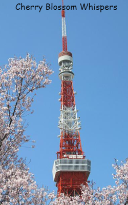 Cherry Blossom Whispers