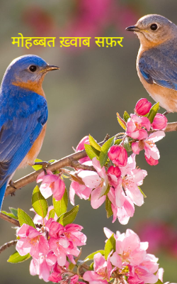 मोहब्बत ख़्वाब सफ़र