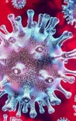କରୋନା