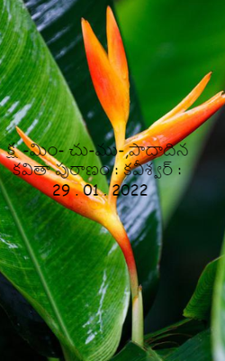 క్ష -మిం- చు-ము-,పాదాదిన కవితా పురాణం : కవీశ్వర్ : 29 . 01 . 2022