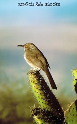 ಬಾಳಿದು ಸಿಹಿ ಹೂರಣ