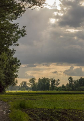 કાગળ અને કલમ