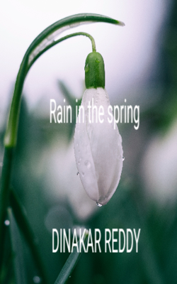 Rain In The Spring