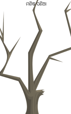 ମଣିଷ ପଣିଆ