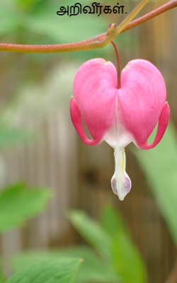 அறிவீர்கள்