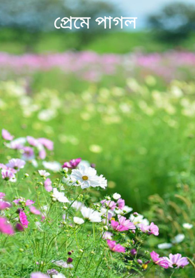 প্রেমে পাগল