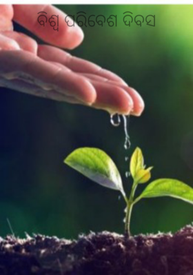 ବିଶ୍ବ ପରିବେଶ ଦିବସ