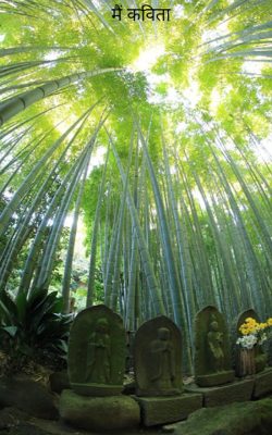 मैं कविता