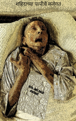 शहिदाच्या पत्नीचे मनोगत