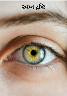 સ્વપ્ન દ્રષ્ટિ